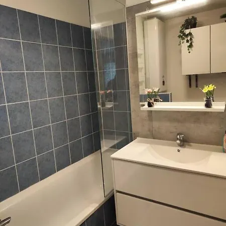 Le Cocon Manceau Apartment