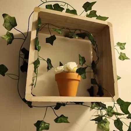 Le Cocon Manceau Apartment