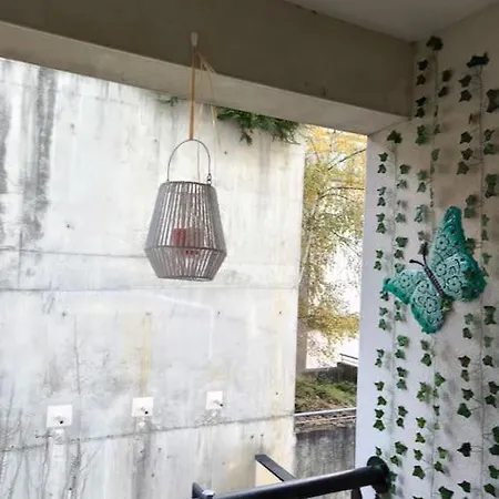 Le Cocon Manceau Le Mans