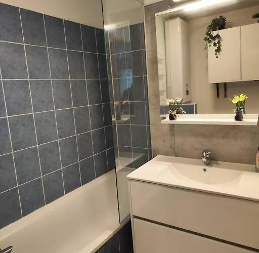 Le Cocon Manceau Apartment