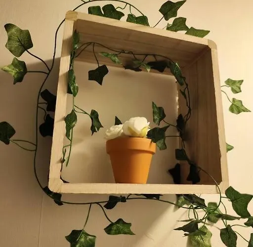 Le Cocon Manceau Apartment