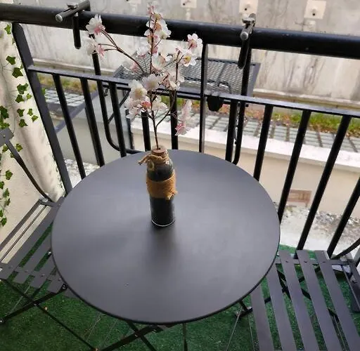 Le Cocon Manceau Apartment *